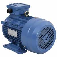 vidaXL Motor Eléctrico Trifásico 2 Polos 2840 RPM Compresor Agrícola Vataje 1.5 kw/ 2 HP,  2.2 kw/ 3 HP,  3 kw/ 4 HP y mas - details 3