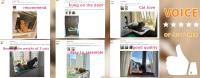 Nueva Hamaca Para Gato Con Asiento De Ventana Solar Lavable Desmontable Cama Para Mascotas Accesorios Para Dormir Con Soporte De Sución - details 0