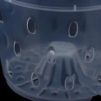 Maceta De Flor Transparente Con Agujeros Para Orquídea Y Jardín 1 Pieza Accesorios De Maceta De Plástico Moderno Perforado Para Ventilación - details 14