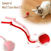 Juguete Interactivo Para Gatos Y Perros Bola Eléctrica Automática Recargable Imitación De Rata Entrenamiento Inteligente - details 1