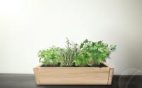 Plantawa Kit de Cultivo Jardinera Slim, Kit Completo para Cultivar Hierbas Aromáticas y Culinarias, Semillas Huerto Urbano para Casa Jardín Decoración Plantas Ecológicas Interior y Exterior. - details 1