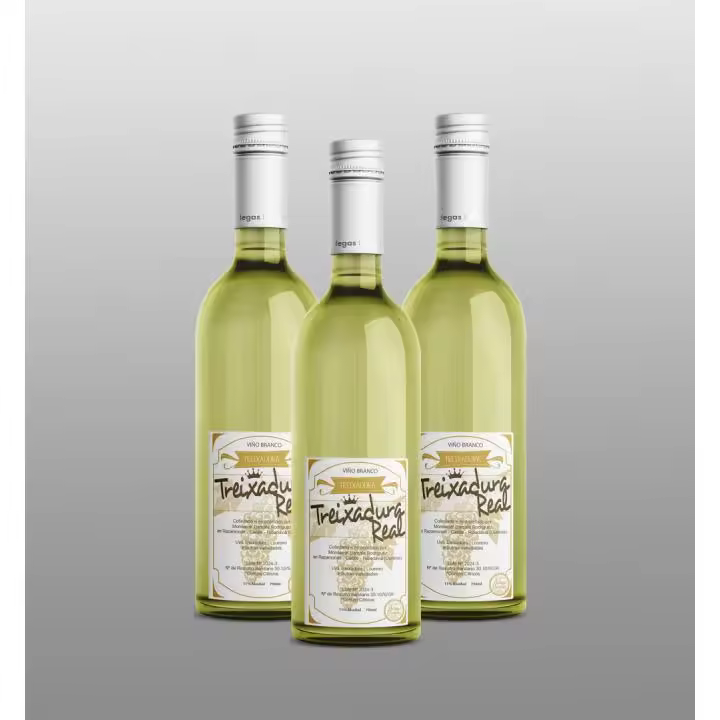CAJA DE 3 BOTELLAS DE VINO DE AUTOR  TREIXADURA REAL (RIBADAVIA) GALICIA. ECO-BODEGAS BARCALA - 1