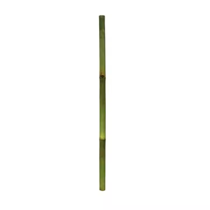 Gerimport Palo de Bambú 7 x 180 cm Verde - Decoración Natural y Versátil para Interiores y Exteriores, Ideal para Jardines, Arreglos de Plantas, Separadores de Ambientes y Proyectos Decorativos Modernos y Elegantes - 1