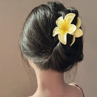 Pinza Para El Pelo De Moda Con Flores De Huevo Estilo Bohemio Para Mujeres Accesorios De Pelo Para Vacaciones En La Playa Gran Pinza Para El Pelo Para Niñas - details 2