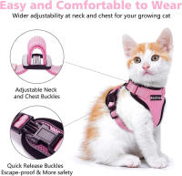 Correa De Tracción Para Gatos Transpirable Con Ajuste Y Antideslizante Chaleco Estilo Cuerda Adelantable Ultrafino Para Verano - details 4