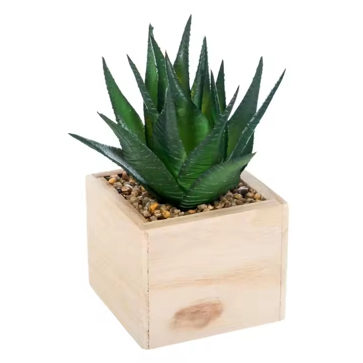 Atmosphera Planta de Madera Verde Chic H14 para Decoración Interior - 1