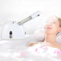 K33S Humidificador De Cara Nano Dual Uso Caliente Y Fría Máquina De Hierbas Chinas Para Spa En Casa Equipo De Belleza Profesional - details 0