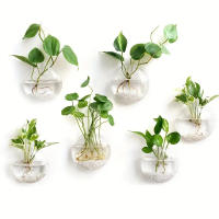 Terrario De Vidrio Para Plantas Colgante Estación De Propagación Vaso De Pared Decoración Para Oficina Y Hogar Moderno - details 6