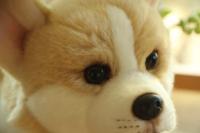 Juguete De Perro Suave De 32CM Muñeco De Peluche Simulación Corgi Juguetes Para Mascotas Animal De Peluche Para Niños - details 10