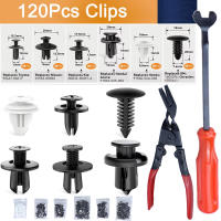 120PCS Clips De Coche Plásticos Con 6 Tamaños Populares Herramientas De Remoción De Terminales Y Parachoques Fijación De Cuerpo De Coche - details 0