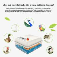Incubador De Huevos 20 Unidades Para Pato Ganso Pollo Ajuste Automático De Temperatura Herramienta De Eclosionamiento De Huevos De Aves De Corral - details 4