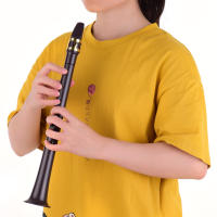 Saxofón Mini De Bolsillo C Con 11 Agujeros ABS Con Boquilla De Alto 4 Piezas De Acrílico 8 Piezas De Almohadillas Dentales 8 Piezas De Reeds Y Carteles De Dedos - details 11