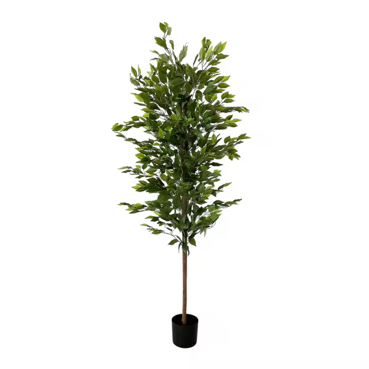 Acomoda Textil – Planta Artificial Decorativa con Macetero Elegante para Hogar, Jardín, Comercio y Oficina. Planta Sintética Resistente para Interior y Exterior Sin Cuidados. (Ficus) - 1