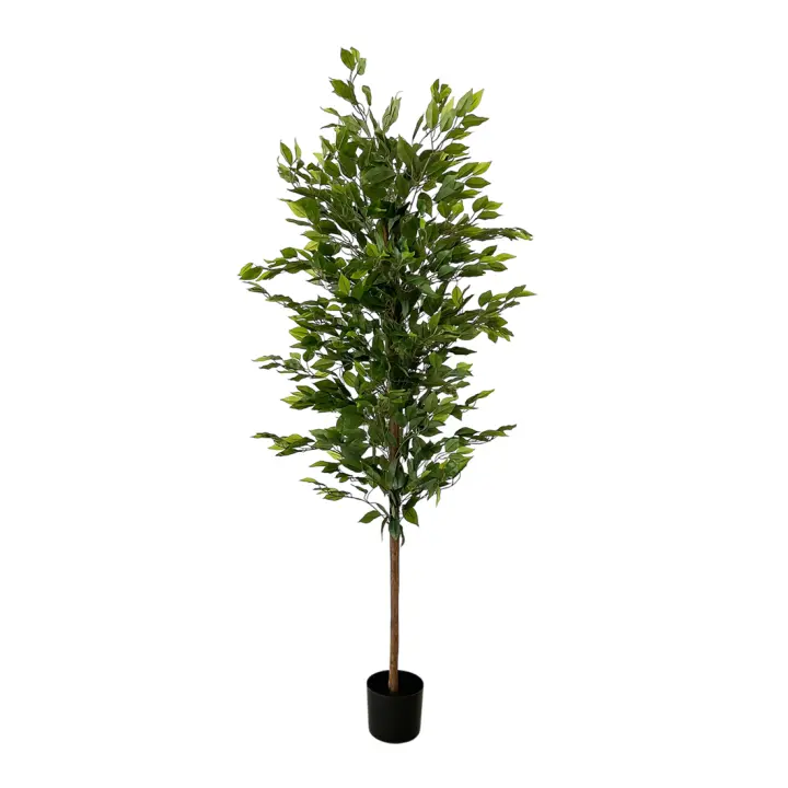 Acomoda Textil – Planta Artificial Decorativa con Macetero Elegante para Hogar, Jardín, Comercio y Oficina. Planta Sintética Resistente para Interior y Exterior Sin Cuidados. (Ficus) - 1