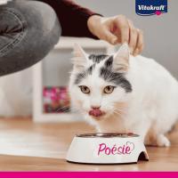 Vitakraft Poesie Delice Bocaditos de Pollo en Salsa para Gatos Adultos, Alimento Húmedo Grain Free sin Conservantes - details 0