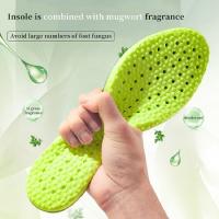 1Par De Inodorantes Para Deportes Para Hombres Y Mujeres Almohadillas De Suela Suave Absorbentes De Sudor Transpirables Para Cuidado De Los Pies Al Correr - details 2