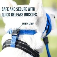 Muzzle Para Perros De Nylon Suave Antirruido Entrenamiento Mascarilla De La Boca Para Pequeños Y Grandes Perros Previene Mordeduras - details 5