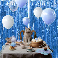 Juego De 1 Pieza De Cortina De Foil Dorado De 9.8 Pies Para Fondo De Fotografía De Cumpleaños Decoración De Fiesta Streamers De Aluminio - details 22