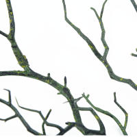 Planta Artificial De Ramas Secas 35cm Para Decoración Interior Simulación De Árbol Para Vaso O Casa Sin Mantenimiento - details 11