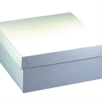 Caja para tartas PAPSTAR con tapa, dimensiones: 300 x 300 x 130 mm - 1