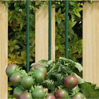 vidaXL Tutores para plantas de jardín (30 unidades) acero verde Dimensiones 60 cm,  90 cm,  115 cm y mas - details 0
