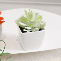 Mini Plantas Artificiales De Suculentas En Blanco Bonsái Set De 6 Piezas Para Decoración De Escritorio Y Ventana Interior - details 5