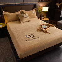 Sábana Elástica De Peluche Suave Protección De Matraces De Velours Sábana Plancha Estilo Sencillo Color Sólido 100% Poliéster - details 7