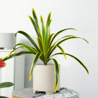 Gran Planta Artificial De Bambú 60cm Con 18 Hojas Hojas Verdes De Orchidáceas Para Decoración De Jardín Y Hogar Material Plástico - details 2