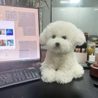 Muñeco De Peluche Realista Con Cabello Curvo Para Niños Y Bebés Juguetes De Animales Suaves Decoración De Habitación Regalo De Cumpleaños De Alta Calidad - details 2