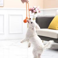 Bolas De Goma Para Morder Y Lustrar Los Dientes Para Perros Pequeños Y Grandes Juguetes Interactivos De Pet Supplies Resistentes Al Morder - details 8