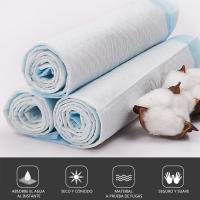 SMELL & SMILE DZL-24006 EMPAPADORES 40*50CM 10PCS - details 1