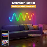 Luces De Neón LED RGBIC Dreamcolor Strip Con Control Remoto Por App Luz Flexible Cambiante De Colores IP68 Para El Hogar - details 0