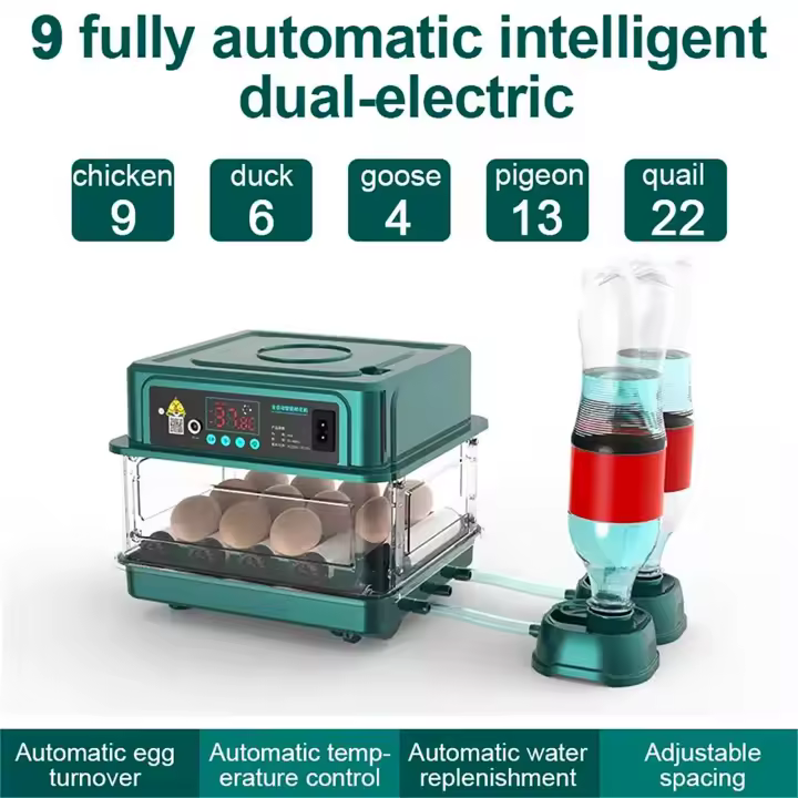Incubadora Automática Mini con Volteo de Huevos Control de Temperatura y Riego HidroIónico Caja Extraíble Capacidad para 10 15 Huevos de Gallina Incuba Patos Gansos Palomas Codornices Voltaje Dual 12V/220V Incubadora Inteligente - 1