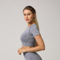 Camiseta De Yoga Sin Costuras Para Mujer Top Corto De Manga Fitness Ropa Deportiva Para Gimnasio Correr Sportswear Polyester Nylon Spandex - details 17