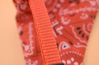 Pañuelo Triangular Ajustable Para Gatos Y Perros Almohadilla De Lengua Impresión Personalizada Collar Para Perros Y Gatos Recién Nacidos Accesorios Para Mascotas - details 8