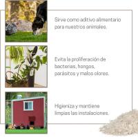 Tierra de diatomeas para ayudar a mantener el gallinero libre de parásitos - Producto Natural - Finca Casarejo - details 1