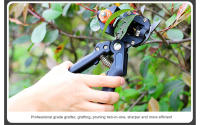 Herramienta De Poda Para Jardín DTBD Con Tijeras De Enraizamiento Para Frutas Y Árboles Herramienta De Corte Y Cinta Antideslizante Metálica Para Agricultura - details 14