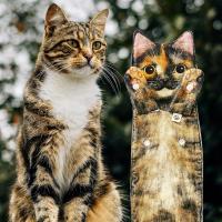Divertidos Gatos Toalla de Mano-Decoración Gato Toalla Colgantes para Baño Trapos de Cocina-Animal Absorbente suave Toallas-regalos Graciosos Para Originales Mujer Amantes de Los Gatos-Carey - details 1