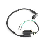 Areyourshop Bobina De Encendido Para ATV Quad Motocicleta Go Kart 50cc 70cc 90cc 110cc 125cc Repuesto De Encendido De Motocicleta - details 2