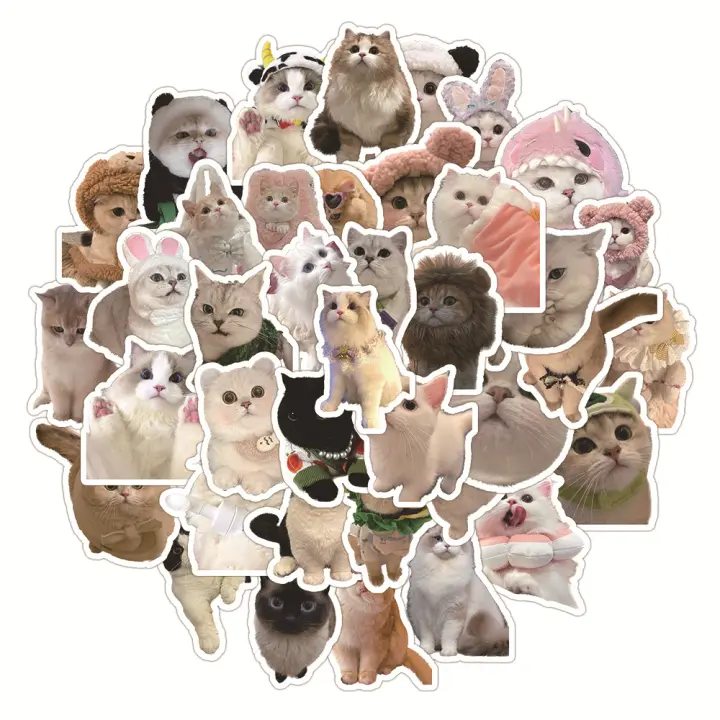 60PCS Pegatinas Impermeables De Gatos Lindos Para Cuaderno Portátil Casco Decalcomanía Material De Papel Sintético - 1