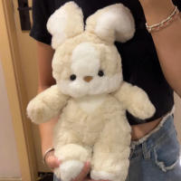Muñeco De Peluche Conejo Con Almohada De Sueño Para Niñas Regalo De Cumpleaños O Día De San Valentín Personaje De TV Y Cine - details 5