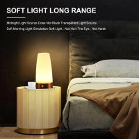 Lámpara Nocturna LED Sensor Para Dormitorio Y Sala De Bebé Luz Suave Para Dormir Iluminación Ambiente Para Corredor Y Cámara De Lactancia - details 8