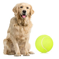 Bolas De Tenis Gigantes De 9.5 Pulgadas Inflables Juguete Para Perros Y Gatos Divertido Para Niños Y Adultos - details 17