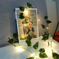 Luces De Vine Artificial Flor Y Hoja Verde Para Adornos Navideños Decoración De Hogar Luz Fairy Piloto Incluido Para Bodas - details 6