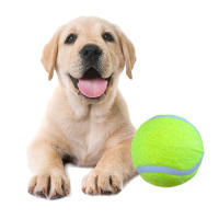 Set 1-3 Pelota de tenis para perros, Pelota automática para mascotas lanzador de pelotas de tenis para perros, mini pelotas de tenis de 6.40CM automático de bola de lanzador de tenis accesorios de pelota - details 0