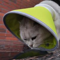 Collar De Cono Para Gatos Anti-Mordedura Ajustable Y Resistente Al Agua Con Fácil Comida Y Beber Para Recuperación De Heridas - details 9