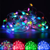 Cadena De Luces LED RGBIC Bluetooth Con Batería Operada Dreamcolor Smart Fairy Luz Para El Hogar Autónoma Y Decorativa - details 12