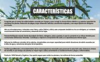 GREEN GOF Purin de Ortiga Ecológico, 5L. Insecticida, Fungicida, Acaricida para el Control de Hongos y para Corregir la clorosis férrica. Curativo y Preventivo. - details 3