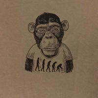 Camiseta hombre Sargantana monkey 85013064 kaki - details 1