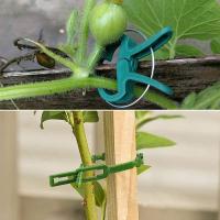 90 Piezas de Soporte de Jardín, Clips de Plantas, Clip de Soporte de Plantas with 30 Piezas de Bridas Ajustables para Plantas, asegurar Plantas Trepadoras (30 Grandes + 30 Bridas) - details 3